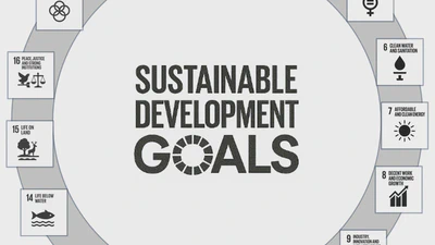 Integrating sustainability in engineering: A global review featured image